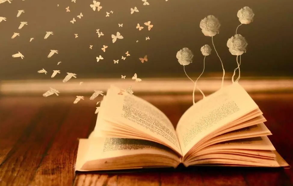 newest-news-post-image